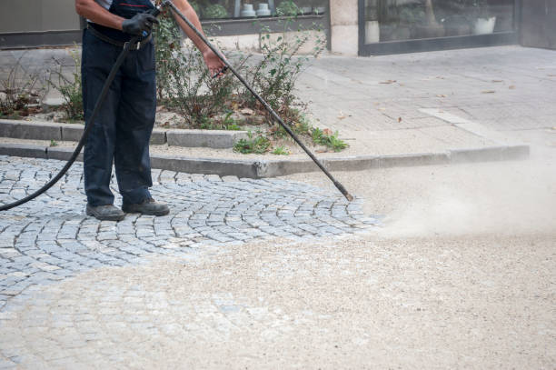 Best Rust Removal  in La Grange Park, IL